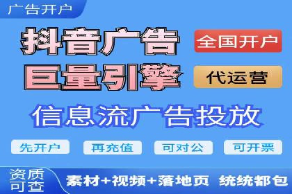 某行业领军企业的SEM广告投放策略